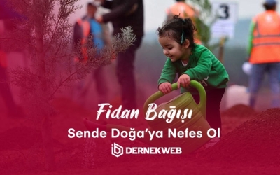 Fidan bağışı